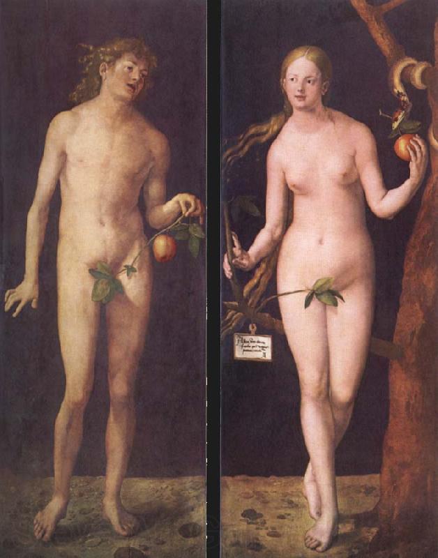 Albrecht Durer Adam and Eve Germany oil painting art